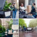 Calathea Flamestar - Påfågel växt  - 75cm - Ø19 - Bild 7