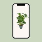 Monster Deliciosa - Ø30cm - ↕100cm - Bild 4