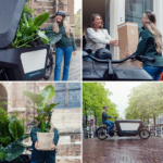 Sanseviera i Cylinder glas - Ø12cm - ↕30cm - Bild 6